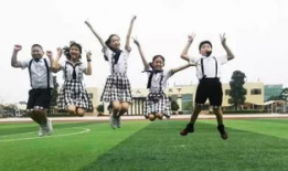 小学电视剧,走进小学电视剧的奇幻世界