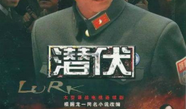 潜伏电视剧,谍影重重，暗战风云