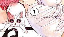 喵喵漫画,萌宠日常，欢乐无限