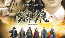 擒狼电视剧,智勇双全，热血追踪