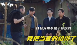 市长电视剧,权谋与担当的较量