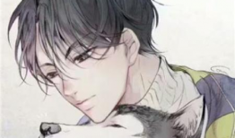 男生漫画,男生们的热血青春故事
