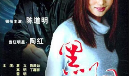 电视剧《黑洞》,揭秘权力与欲望交织的官场风云