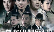 电视剧乌龙山剿匪记,烽火岁月里的正义之战