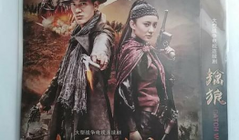 擒狼电视剧,智勇双全，热血追踪