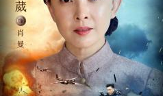 电视剧热血演员表,实力派演员齐聚，演绎青春热血传奇