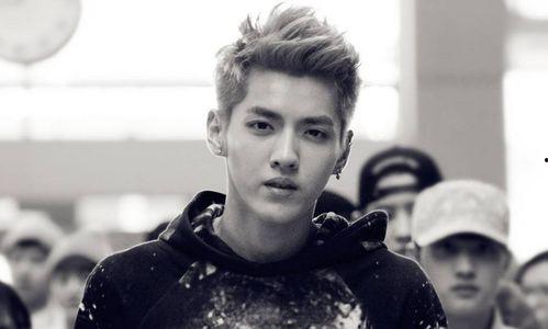 吴亦凡的电视剧有哪些,从音乐偶像到电视剧新秀的多面演绎